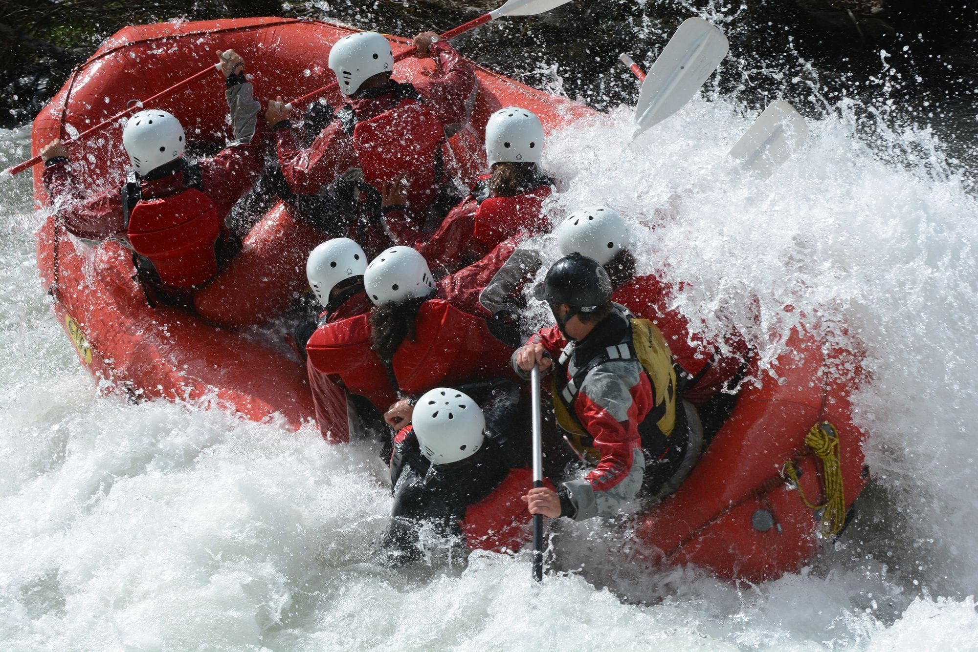 The Great Pyrenean Adventure