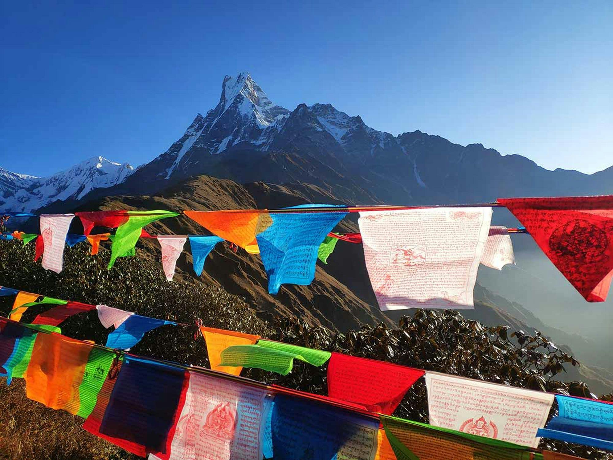 Mardi Himal Trek - 11 Days
