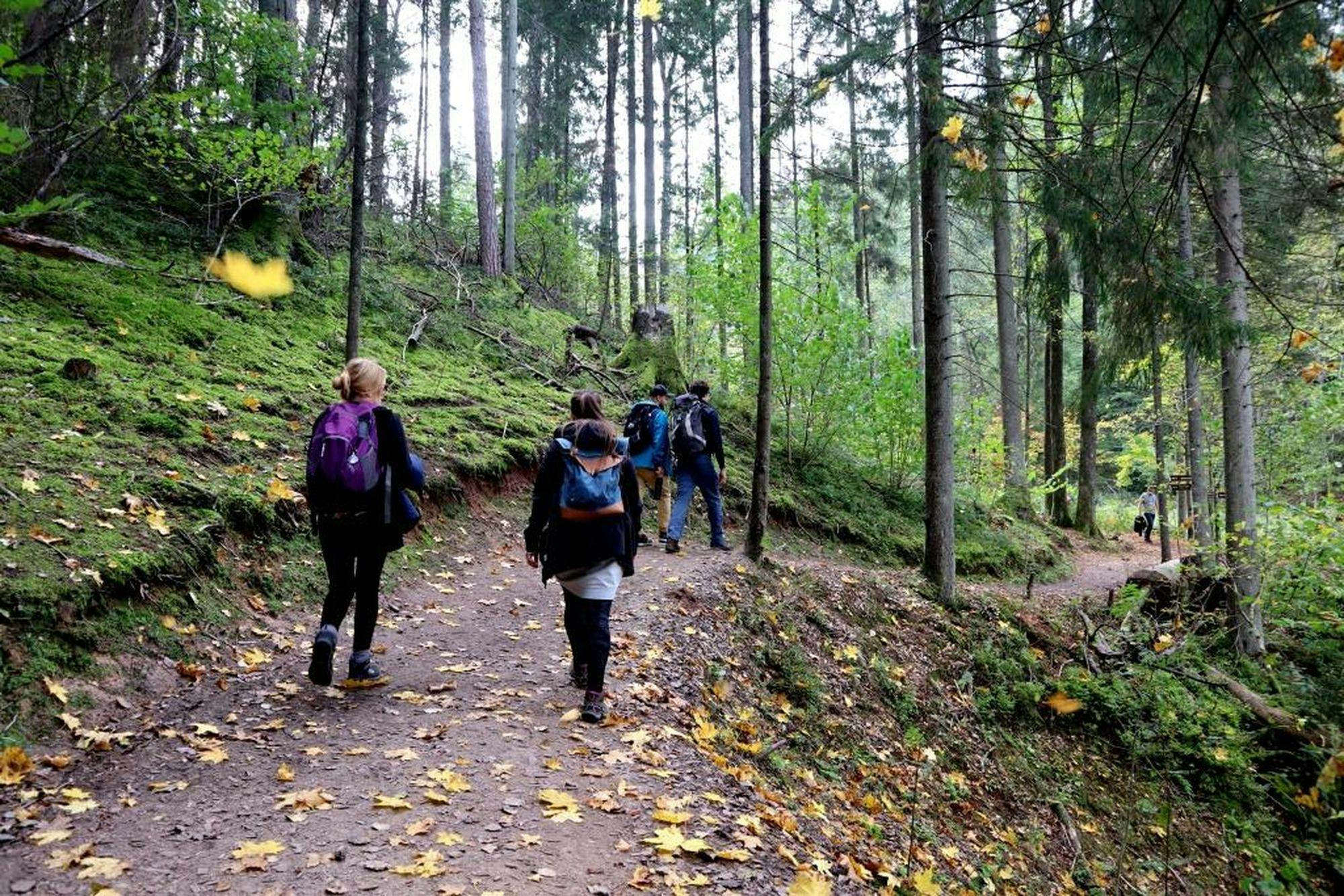 Hiking Adventure in Gauja National Park
