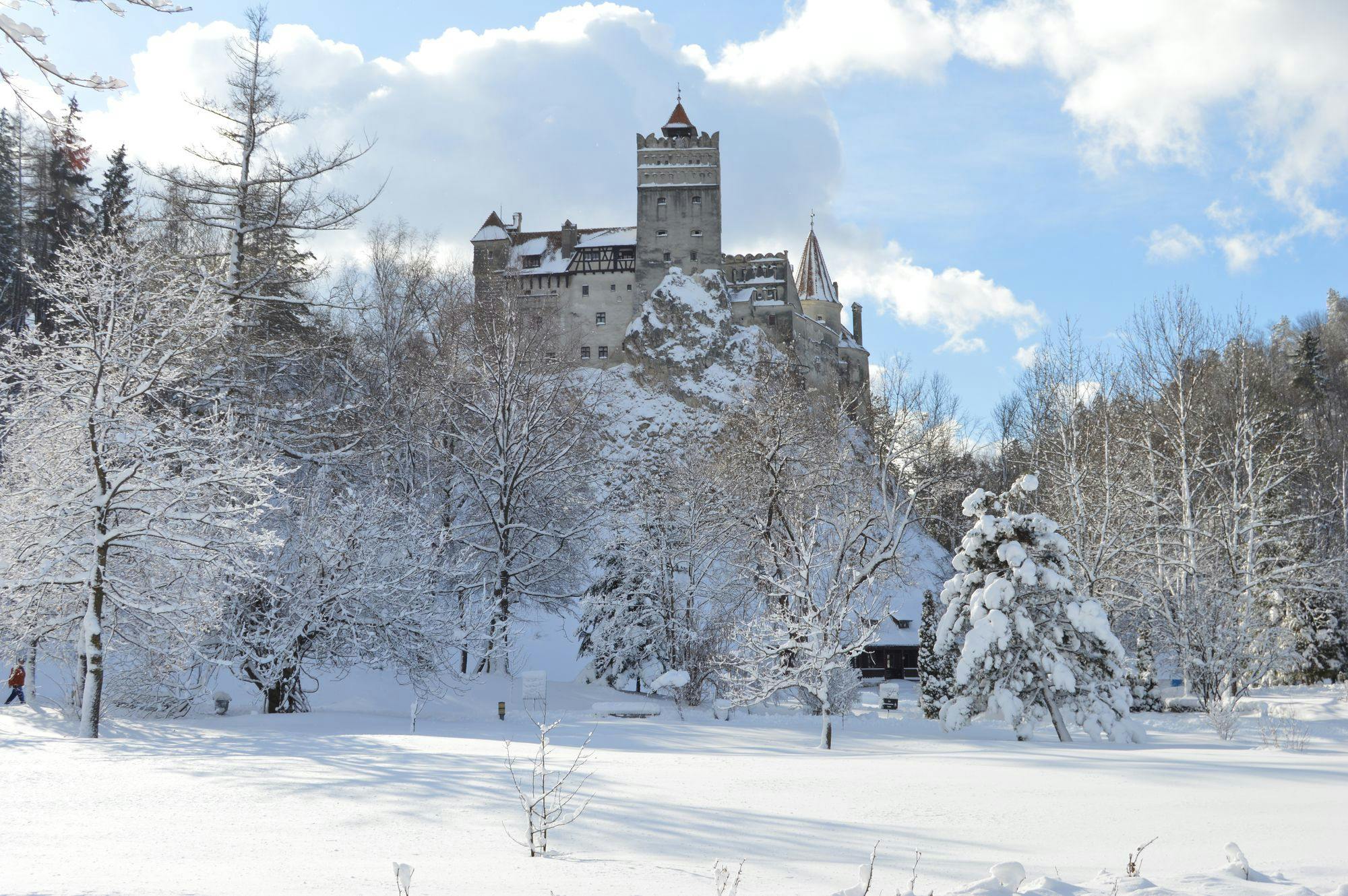 Transylvania Winter Adventure - Snowshoeing, Husky Sledding, and Sightseeing