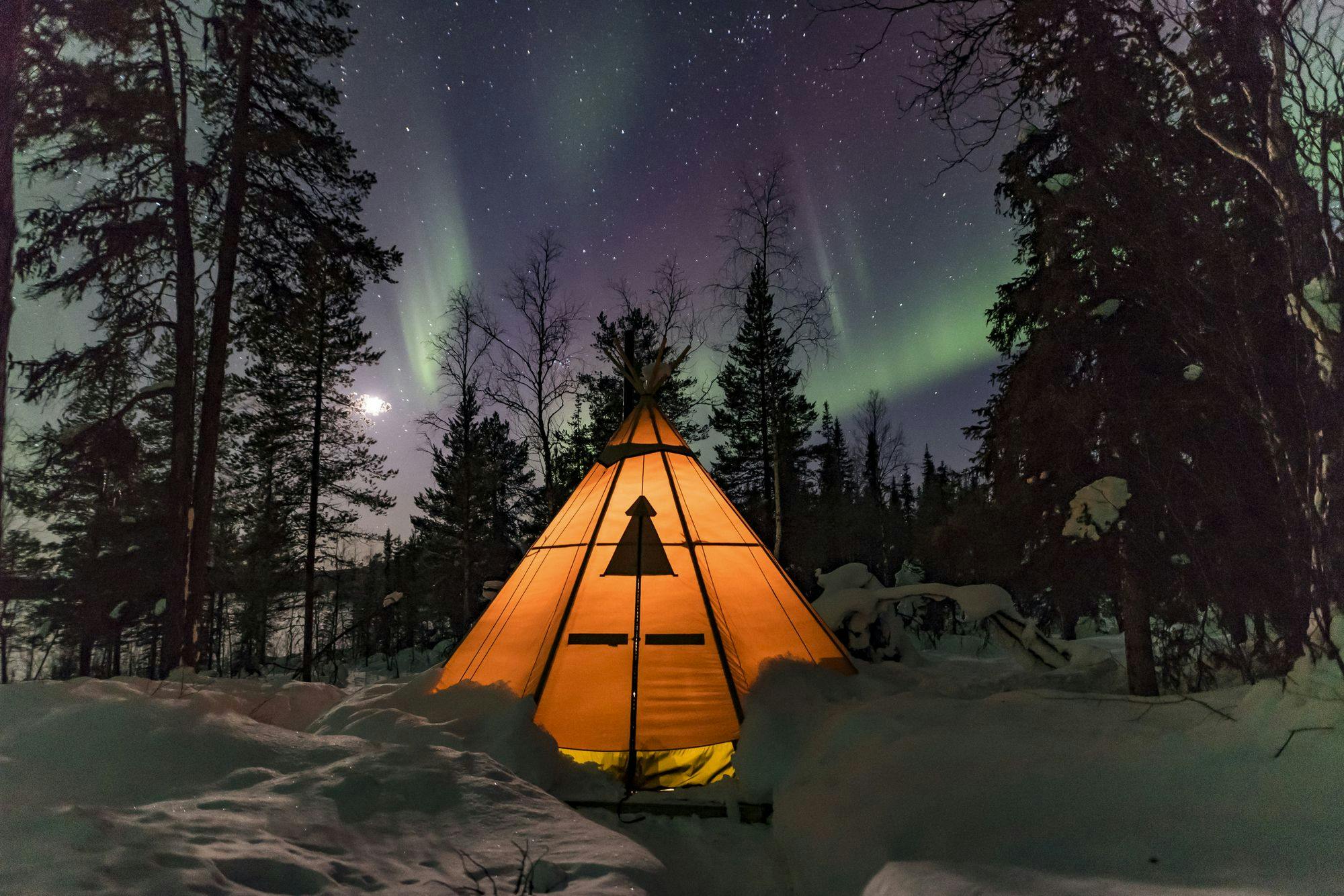 Northern Lights & Wildlife in Swedish Lapland