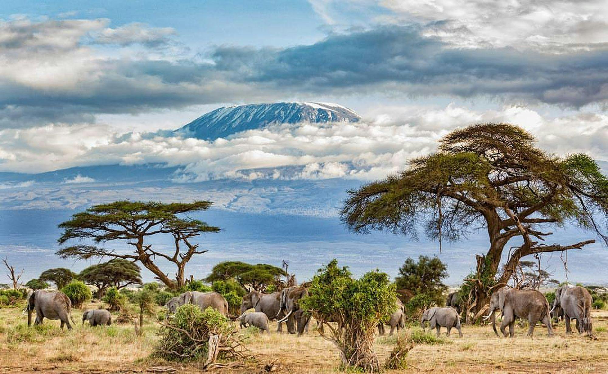 Mount Kilimanjaro - The Machame Route