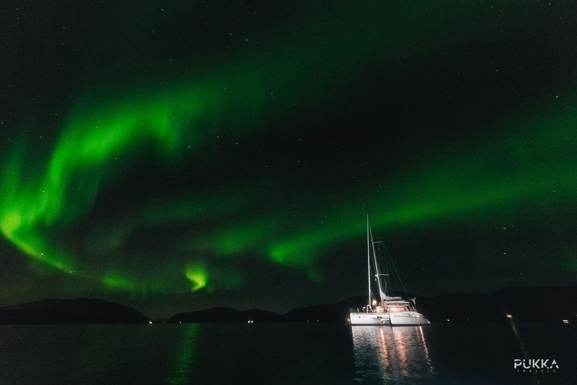 Northern Lights Sailing Tromso