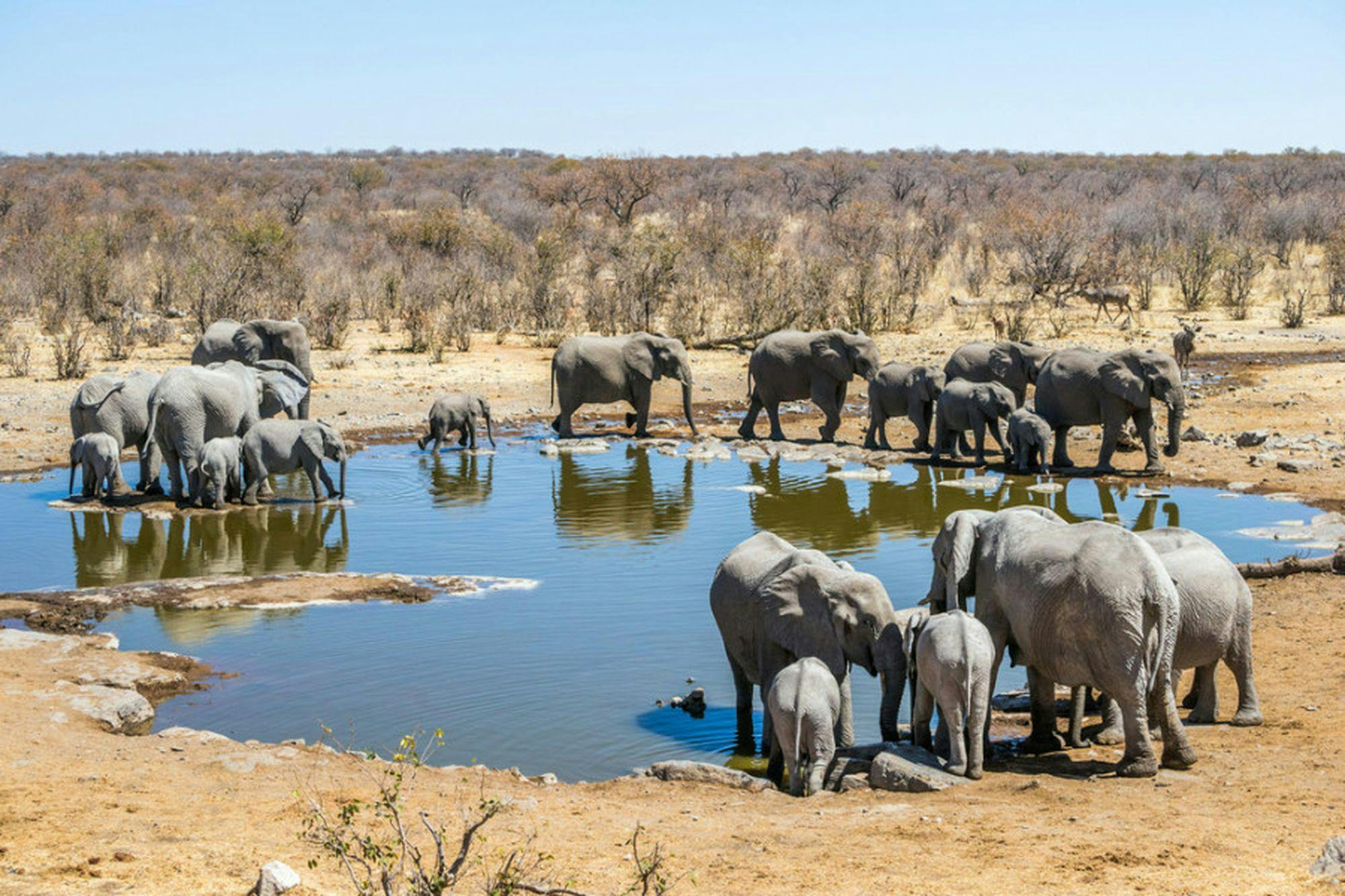 Best of Namibia 8 Day Safari