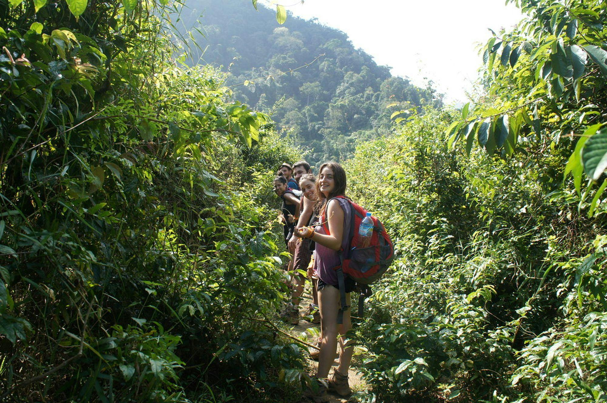 Jungle Trek and Kayak Discovery in Luang Prabang