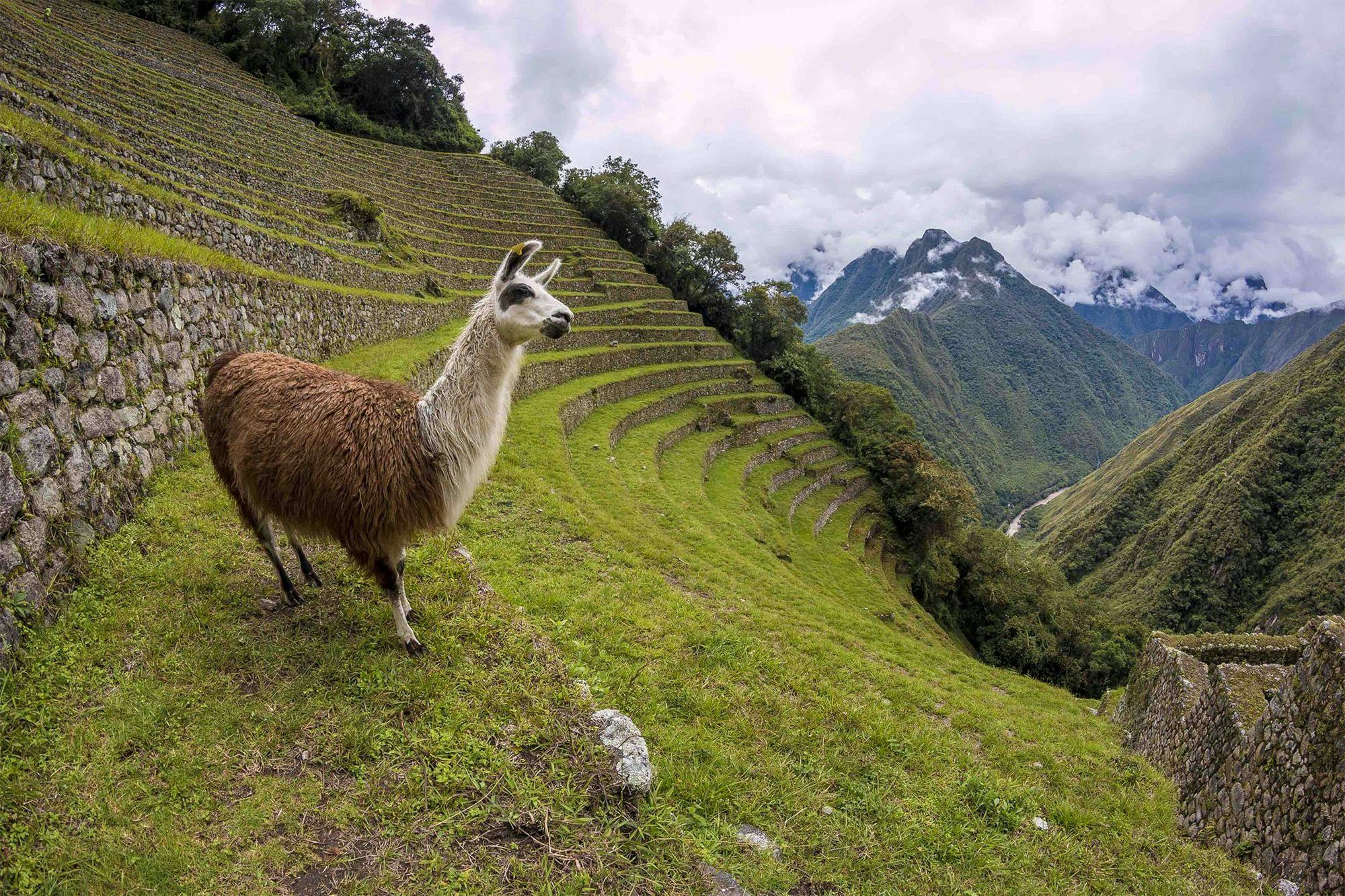 Classic Inca Trail To Machu Picchu - 4 Days