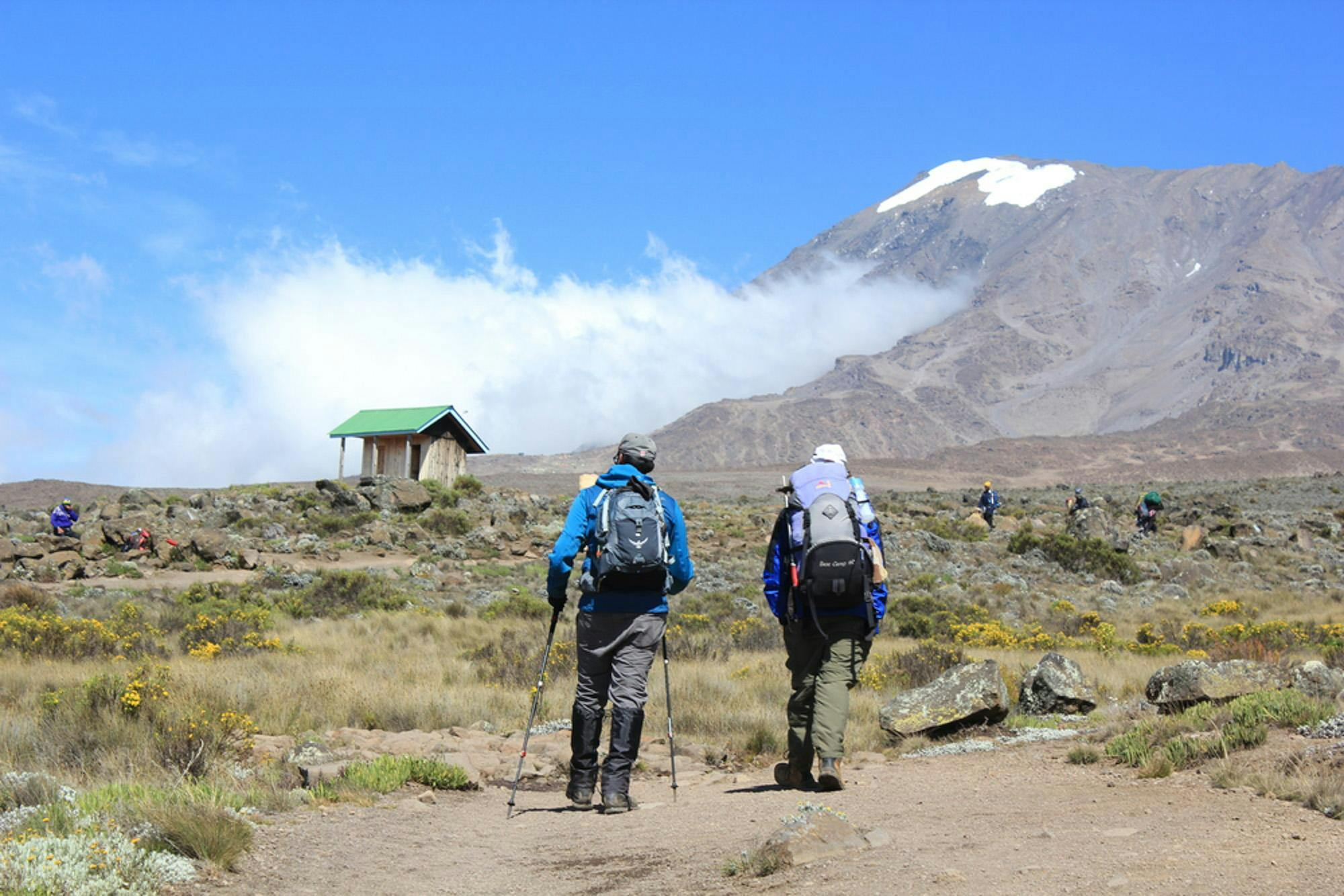 Summit Mt. Kilimanjaro
